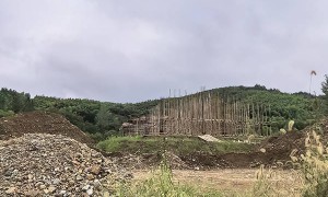 江苏一重点文旅项目天目湖动物王国已停工，正开展社会资本引进工作